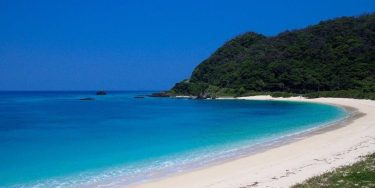 奄美大島の魅力について解説
